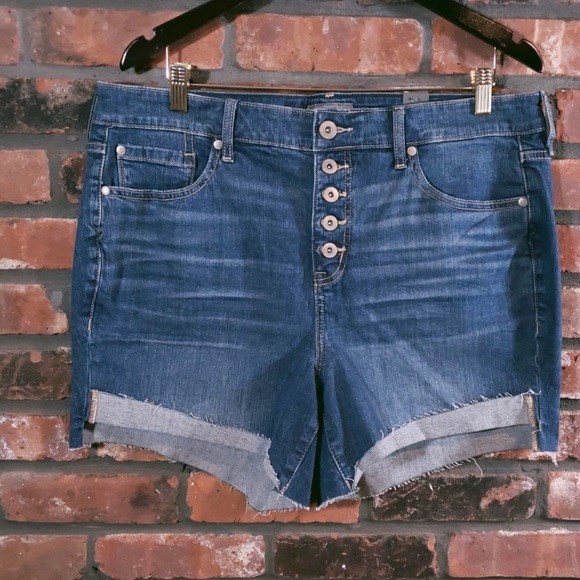 NWT Torrid 5 inch Vintage Stretch High Rise Denim Shorts Women’s 16 - Picture 1 of 5